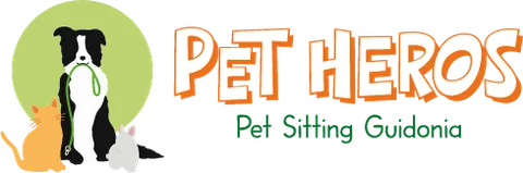 PetHeros – Pet Sitting Guidonia